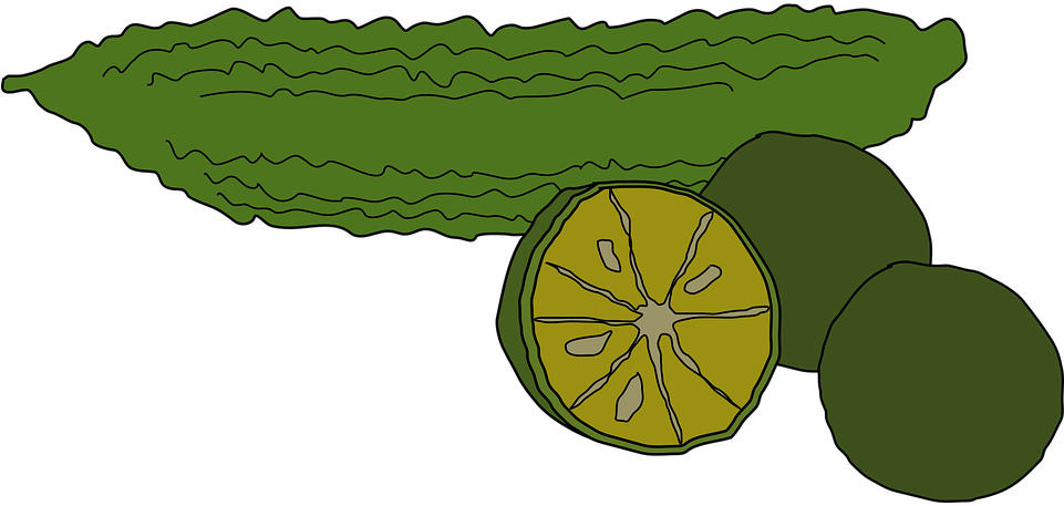 Lemon Tree Clipart 16, - Bitter Clipart Png (1599x750)