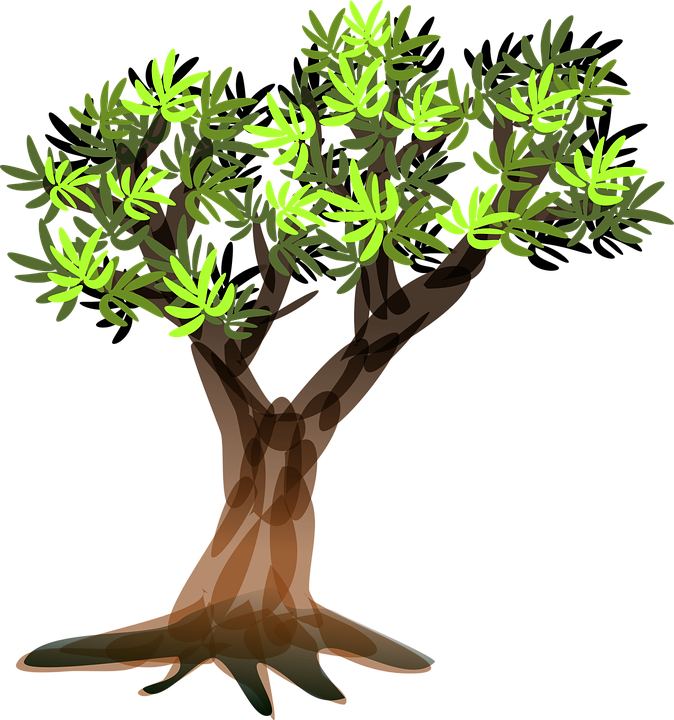 Lemon Tree Clipart 28, Buy Clip Art - Arvore Com Galhos Png (674x720)