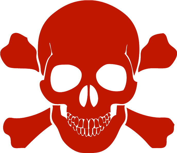 Next - Skull And Crossbones Black (800x800)