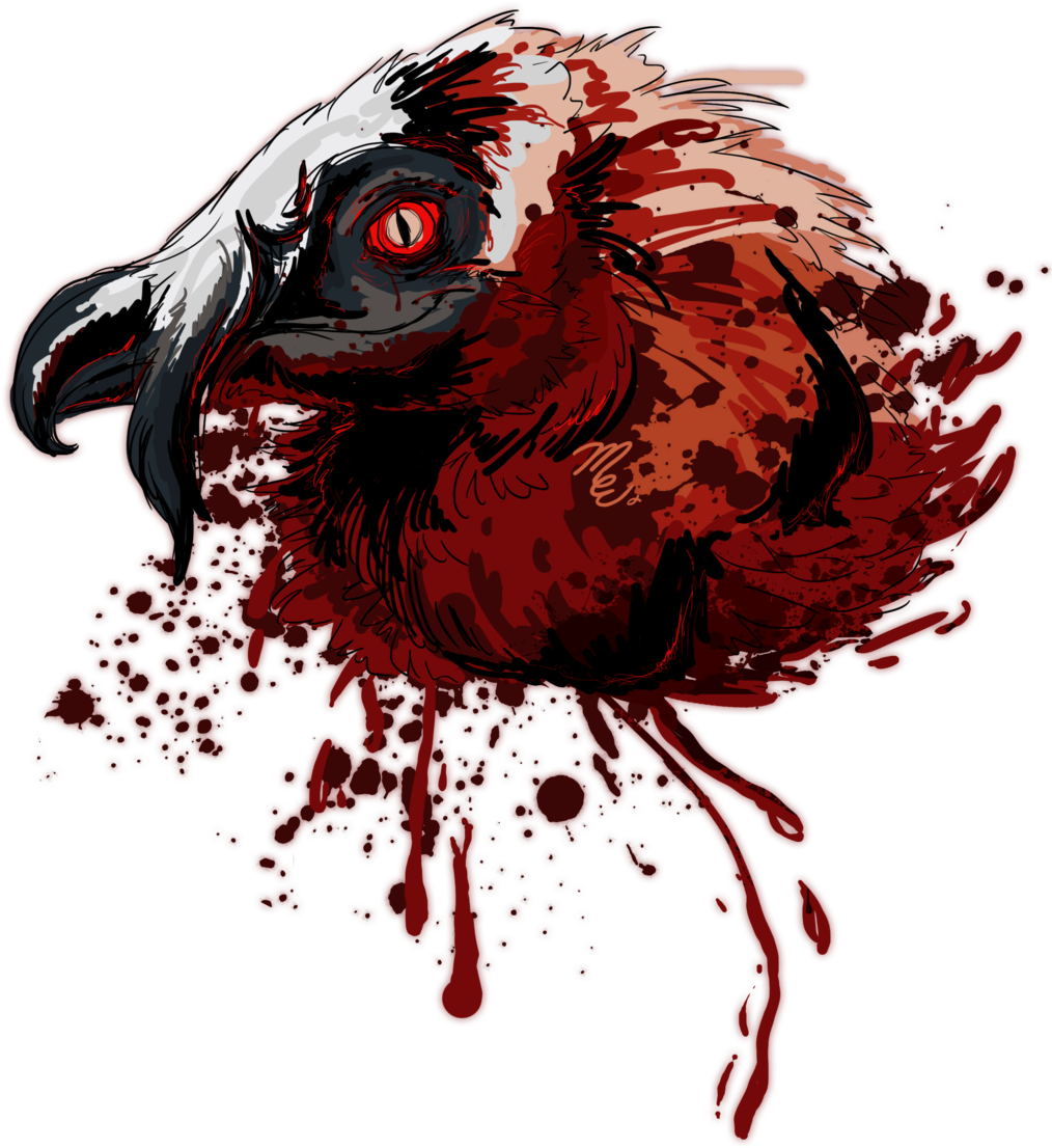 Bearded Vulture - Bearded Vulture (1024x1135)