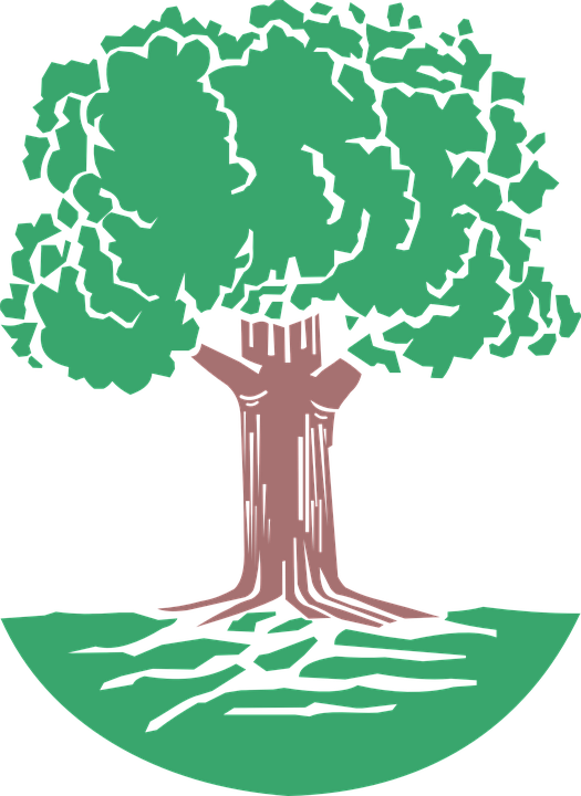 Redwood Tree Cliparts 7, Buy Clip Art - Oak Tree Coat Of Arms (525x720)