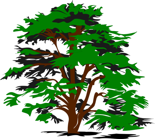 Simple Vector Tree - Cedar Tree Clip Art (500x451)