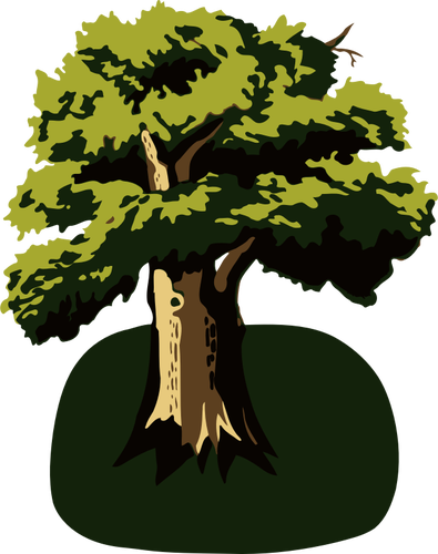 Baum Auf Grünfläche - Library Of Congress Canvas Art Prints - Protect Your (395x500)