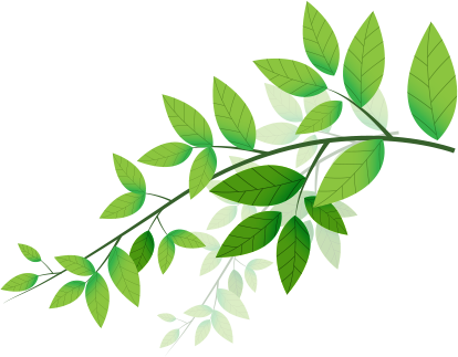 It Also Nourishes And Rejuvenates Your Bone Tissues - Green (414x323)