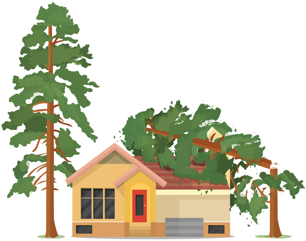 Eines Sollten Sie In Jedem Fall Immer Beachten - Fallen Tree On House Clipart (1134x850)