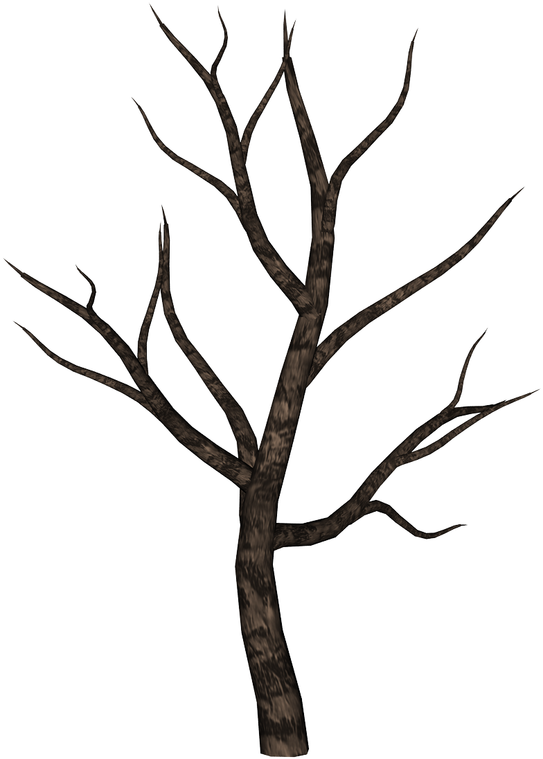 Spooky Tree 02 By Ecathe Spooky Tree 02 By Ecathe - Spooky Tree (791x1116)