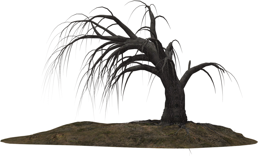 Creepy Tree 19 By Wolverine041269 On Clipart Library - Dead Tree Png (1024x639)