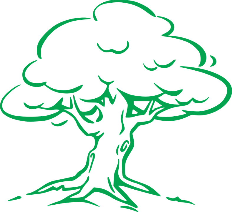 Easy Pictures To Draw 25, - Oak Tree Drawing Easy (788x720)