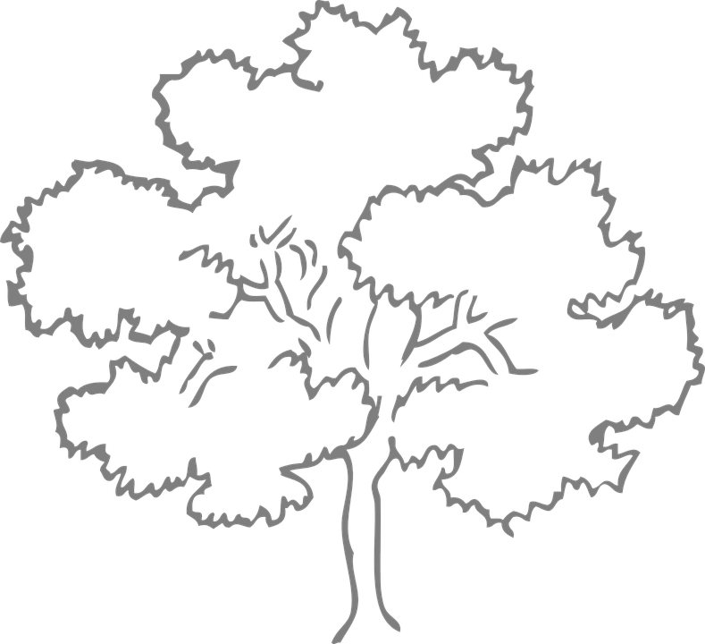 Easy Leaf Cliparts 12, - Tree Clipart Black And White (789x720)