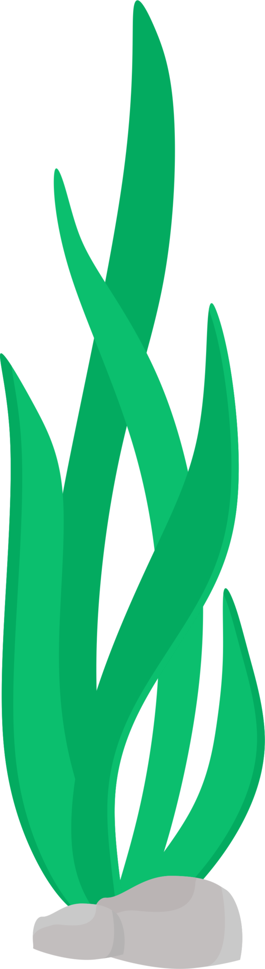 Captivating Seaweed Clip Art Beachy Dreams Pinterest - Seaweed Png (526x1920)