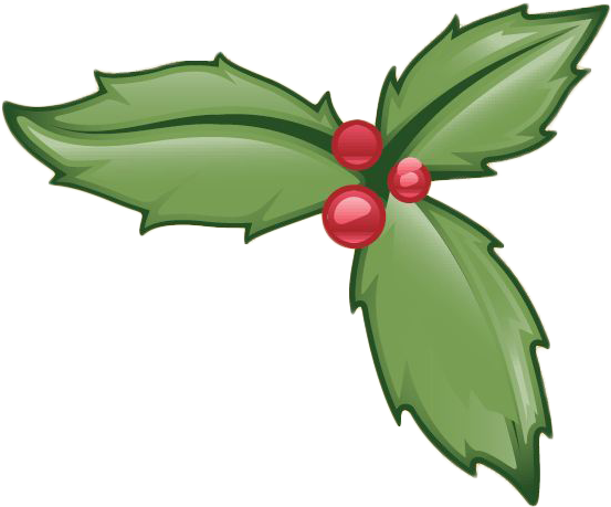 Christmas Day Special - Christmas Day Special (580x534)