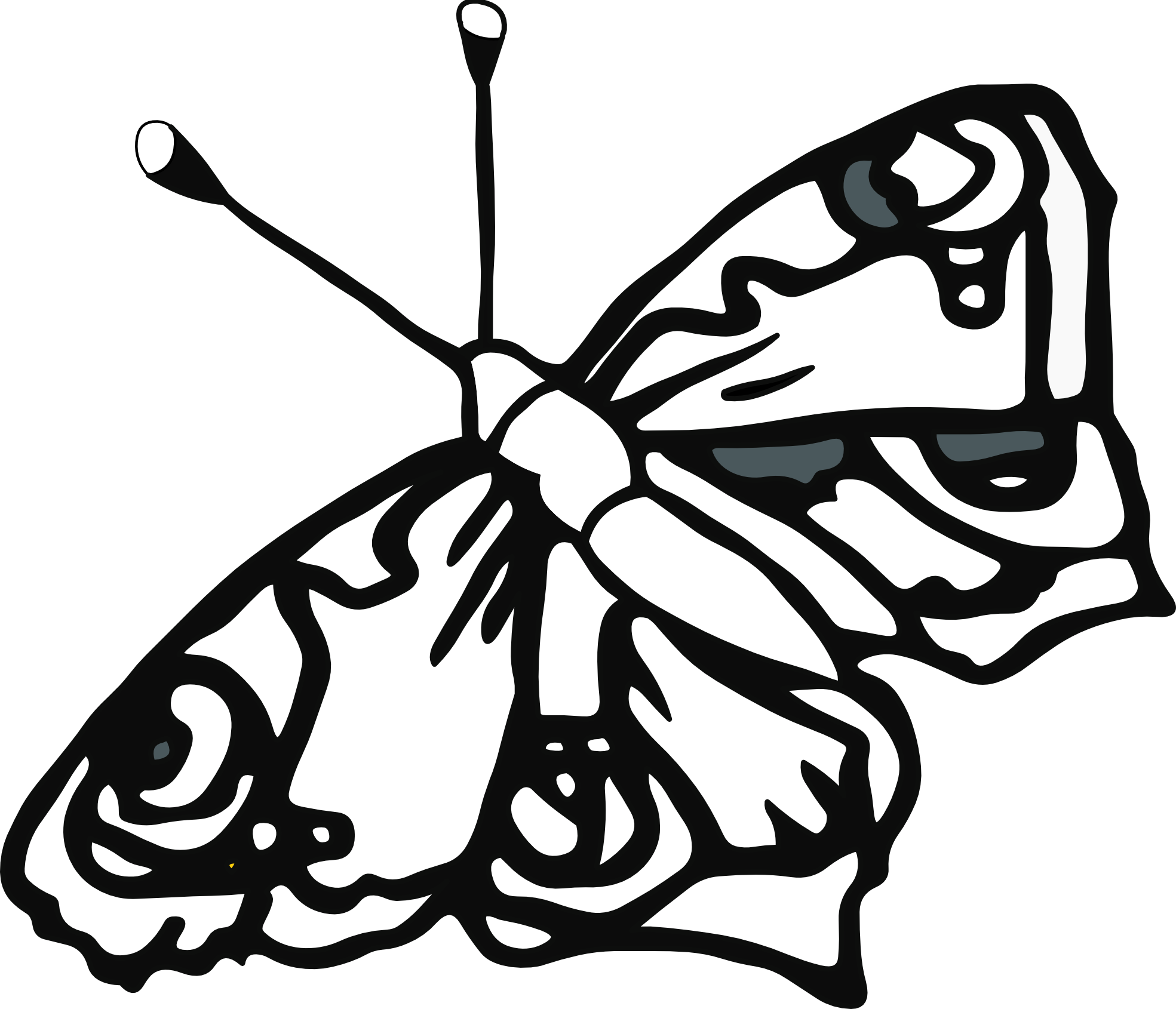 Butterfly Drawings In Black And White - Butterfly Coloring Pages (1969x1690)