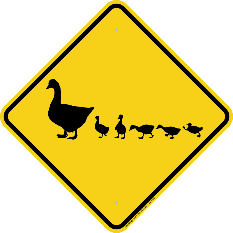 Duck Crossing Signs - Fall Prevention Clip Art (800x800)