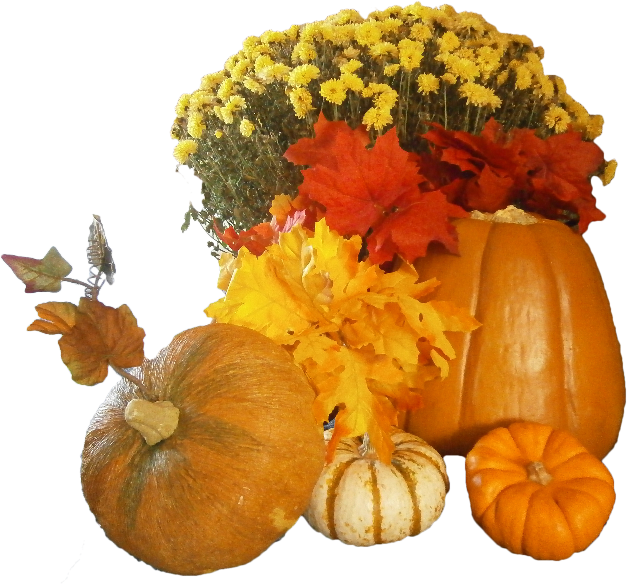 More Free Thanksgiving Graphics - Thanksgiving Clipart With Transparent Backgrounds (2115x1970)