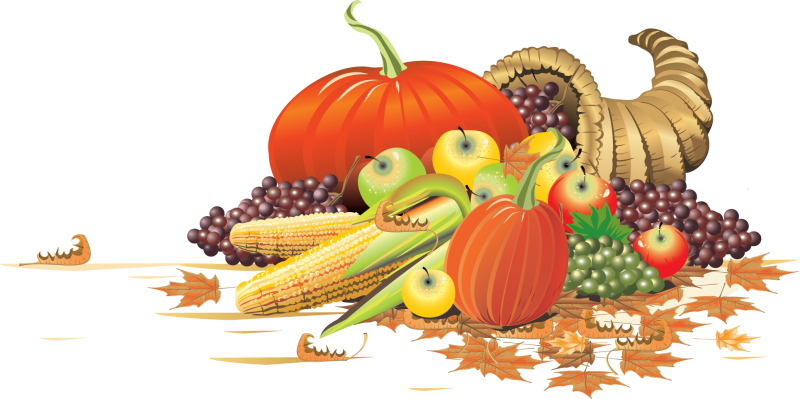Happy Thanksgiving - Cornucopia Transparent (800x399)