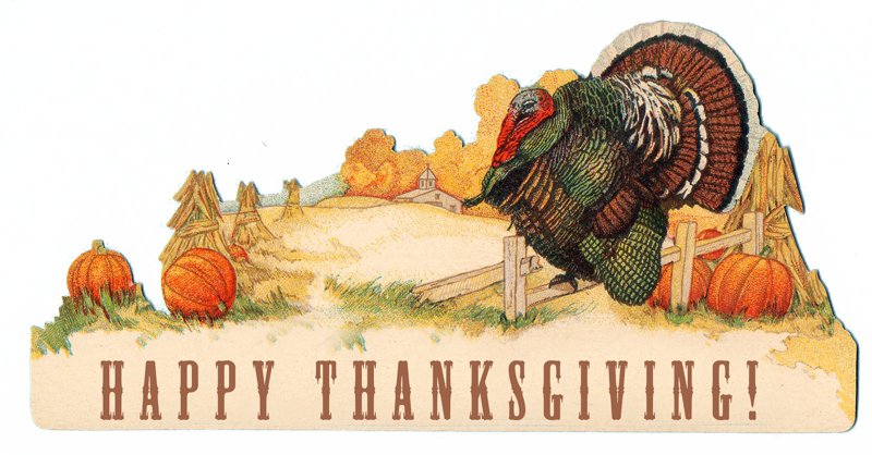 Turkey Day 2016 Quotes Images Messages Wallpapers Turkey - American Panic: A History Of Who Scares Us And Why (800x418)