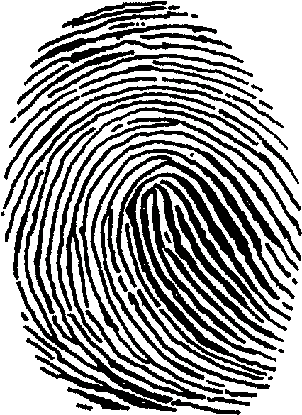 Fingerprint - Fingerprint Clip Art (496x648)