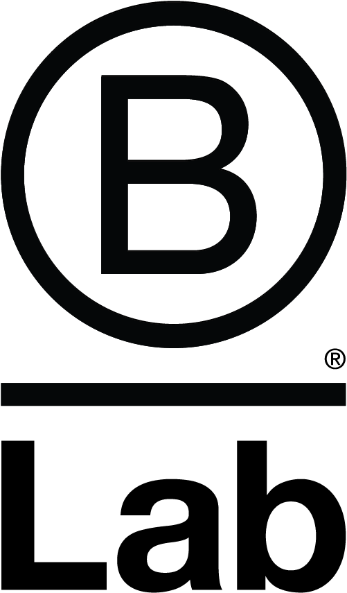 B Lab Is A Nonprofit Organization That Serves A Global - Everything's Fine The Summer Set (546x892)