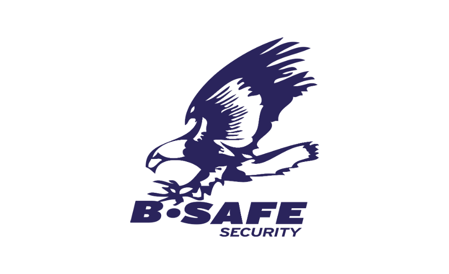 B Safe Makes Third Acquisition Of 2018, B Alarmed - Red-tailed Hawk (900x550)