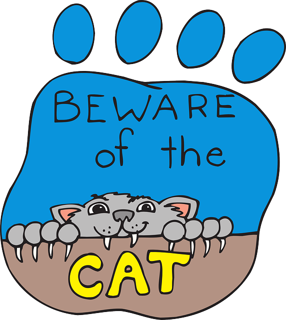 Print, Cartoon, Paw, Pet, Animal, Claws, Beware - Cartoon Cat Clawing (572x640)