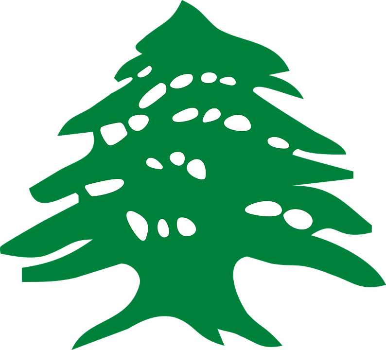 Free Vector Graphic - Lebanese Cedar Tree Vector (794x720)