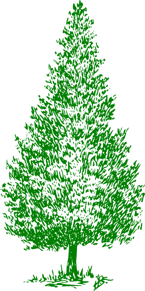 Greencedartree Clip Art At Clkercom Vector Online Royalty - Cedar Tree Clip Art (294x589)