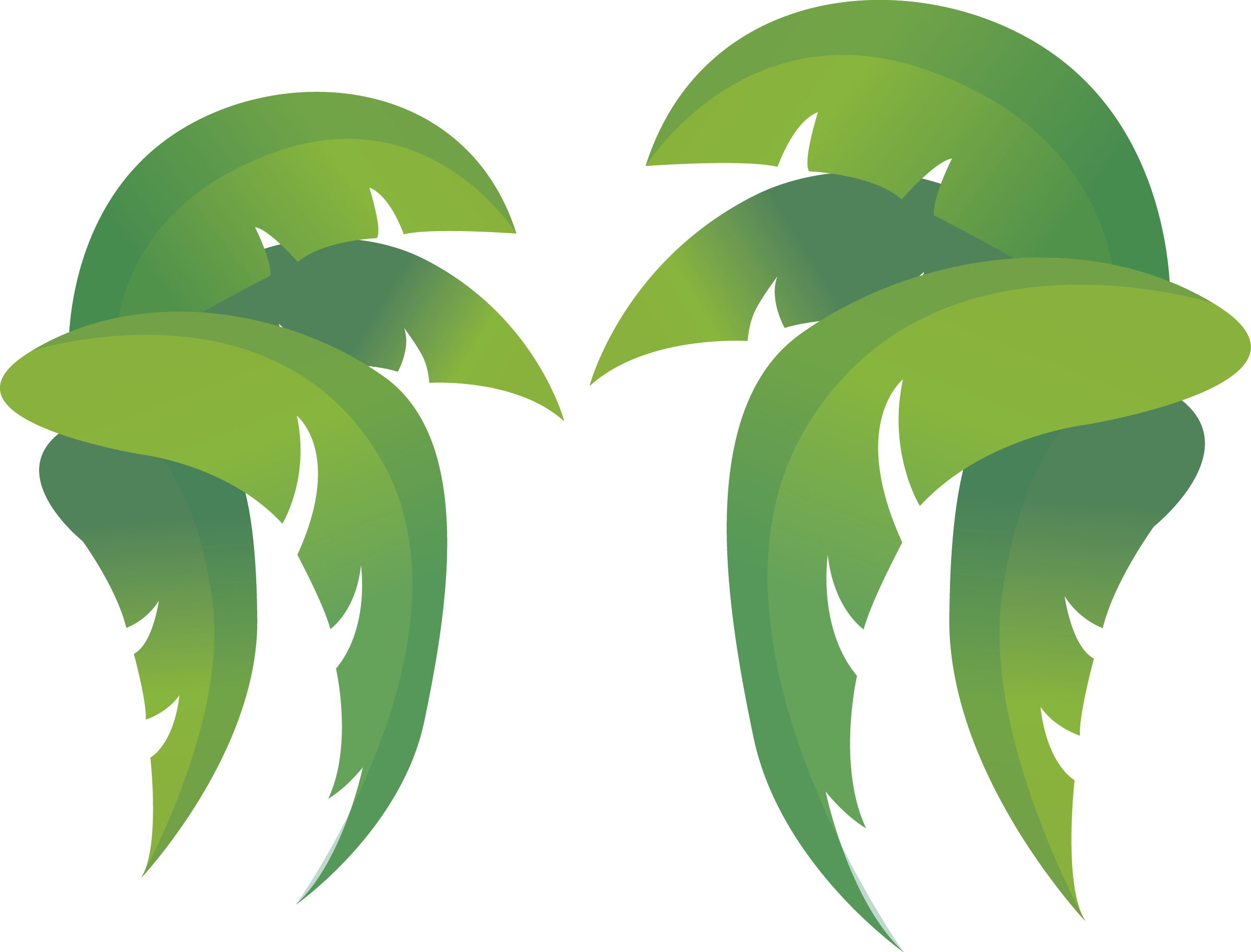 Leaf Coconut Clip Art - Leaf (2398x1825)