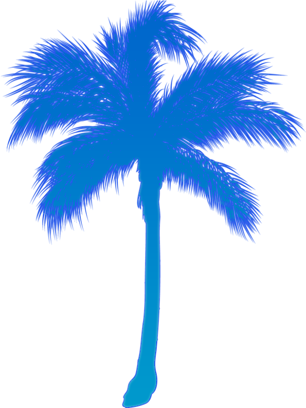 Palmera Azul By Andrearojas - Palm Trees (850x850)