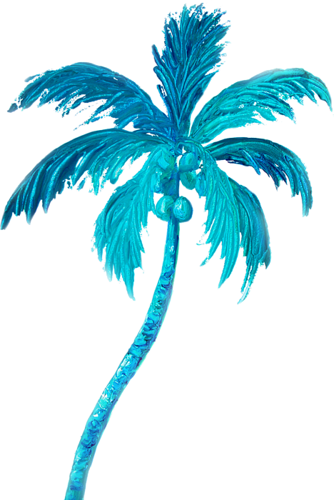 Click And Drag To Re-position The Image, If Desired - Palm Trees (468x700)