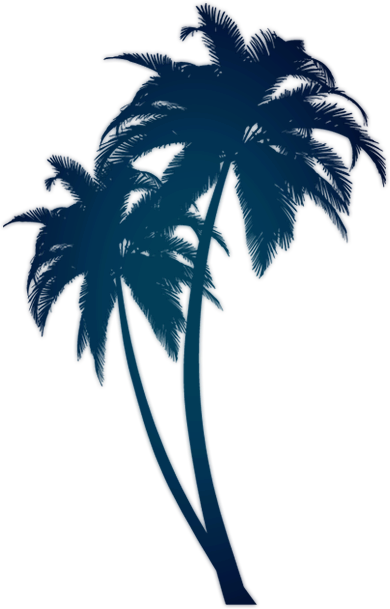 Palm Trees Minimalist (390x609)