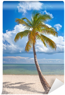 Palm Trees On A Beautiful Sunny Summer Afternoon In - Sky (400x400)