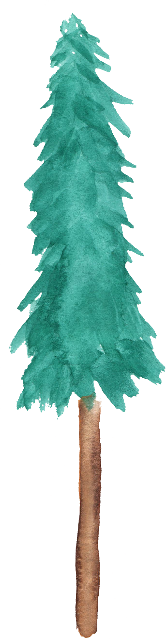 Free Download - Tree (343x1315)