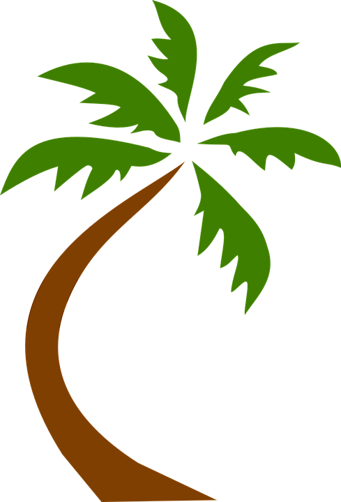 Coconut Tree Animated 9, - Palm Tree Clip Art Png (489x720)