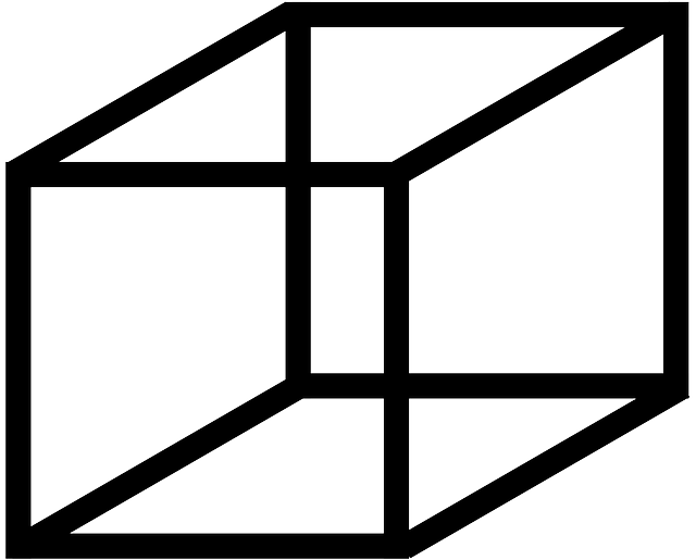 Box, Outline, Shapes, Cube, Shape, Cubes - Necker Cube (640x515)