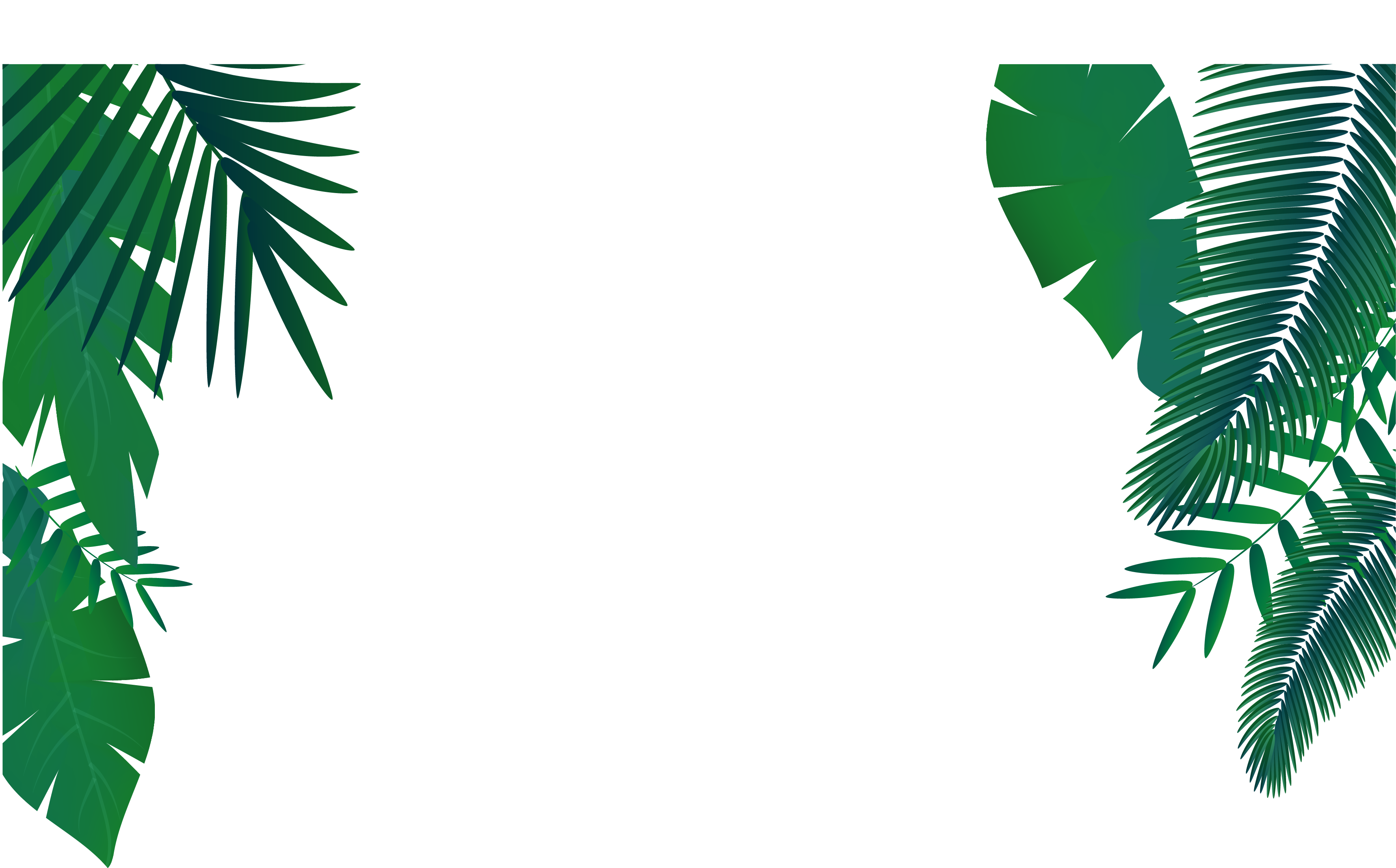 Leaf Euclidean Vector Arecaceae - Euclidean Vector (3711x2202)