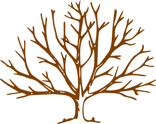 Clip Art Tree No Leaves - Tree Without Leaves Drawing (600x477)