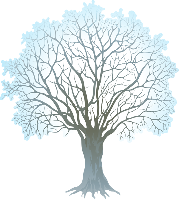 Barren Clipart Winter Tree - Winter Tree Transparent Background (600x664)