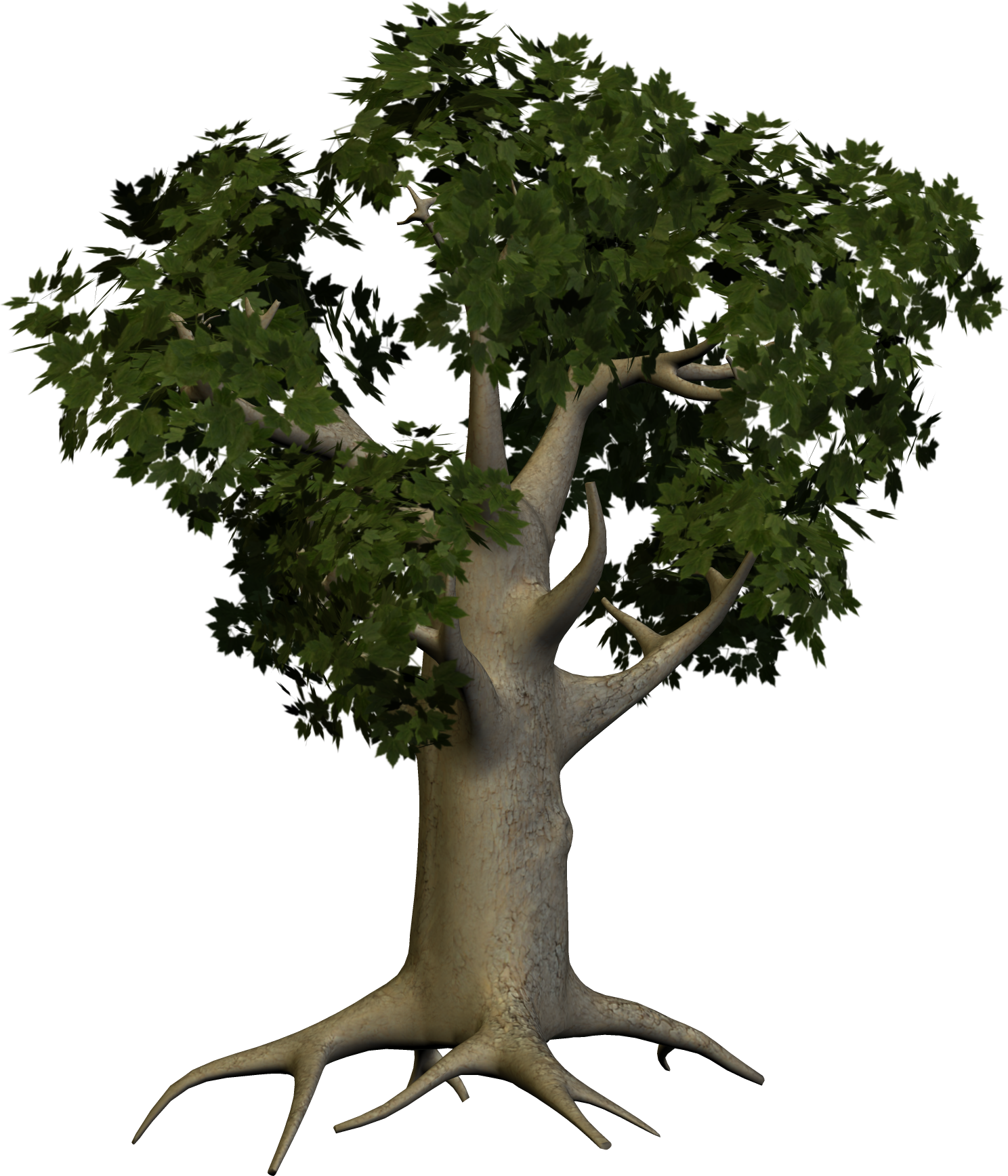 Tree Png Image - Transparent Big Tree (1488x1735)
