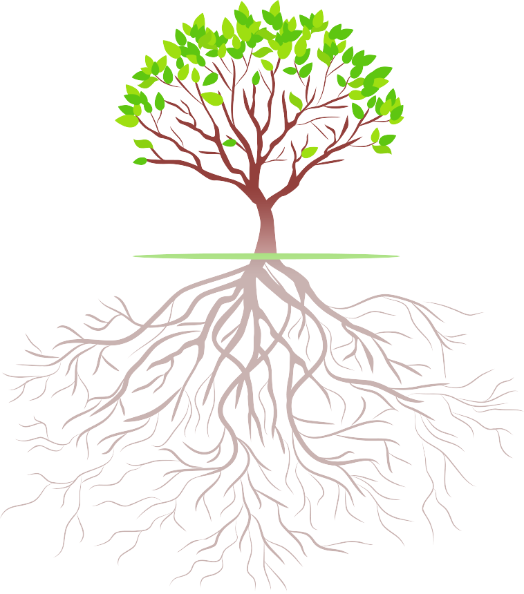 Fresh Life Tree - Illustrator Roots (758x860)