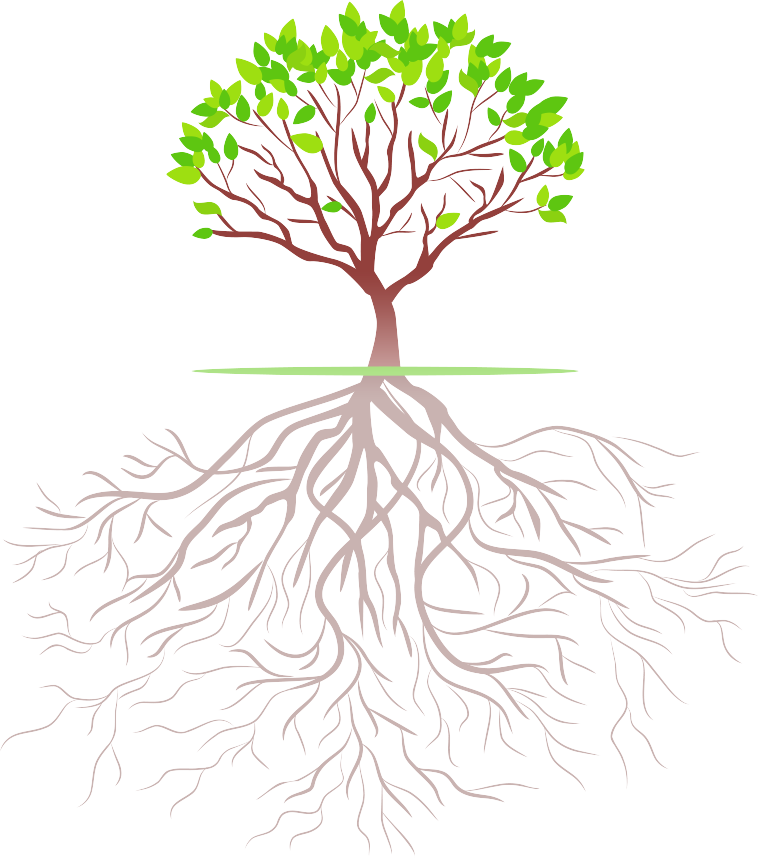 Fresh Life Tree Illustrator Roots (758x860) Png Clipart Download