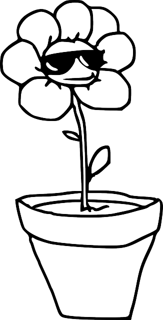 Plant, Pot, Potted Plant, Sunglasses, Spring - Flower B W (326x640)