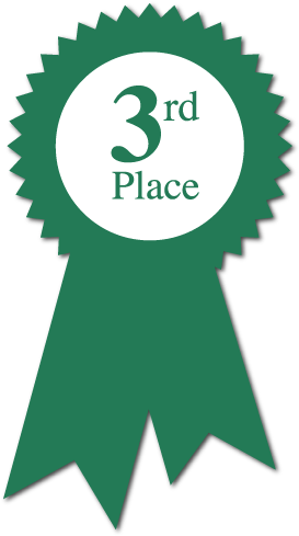 2nd Place Ribbon Clipart Cliparthut Free Clipart I9r33l - Red Seal Png Ertificate (500x500)