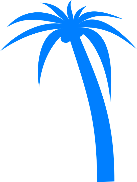Vacation Clipart Tropical Tree - Palm Tree Clip Art (542x720)