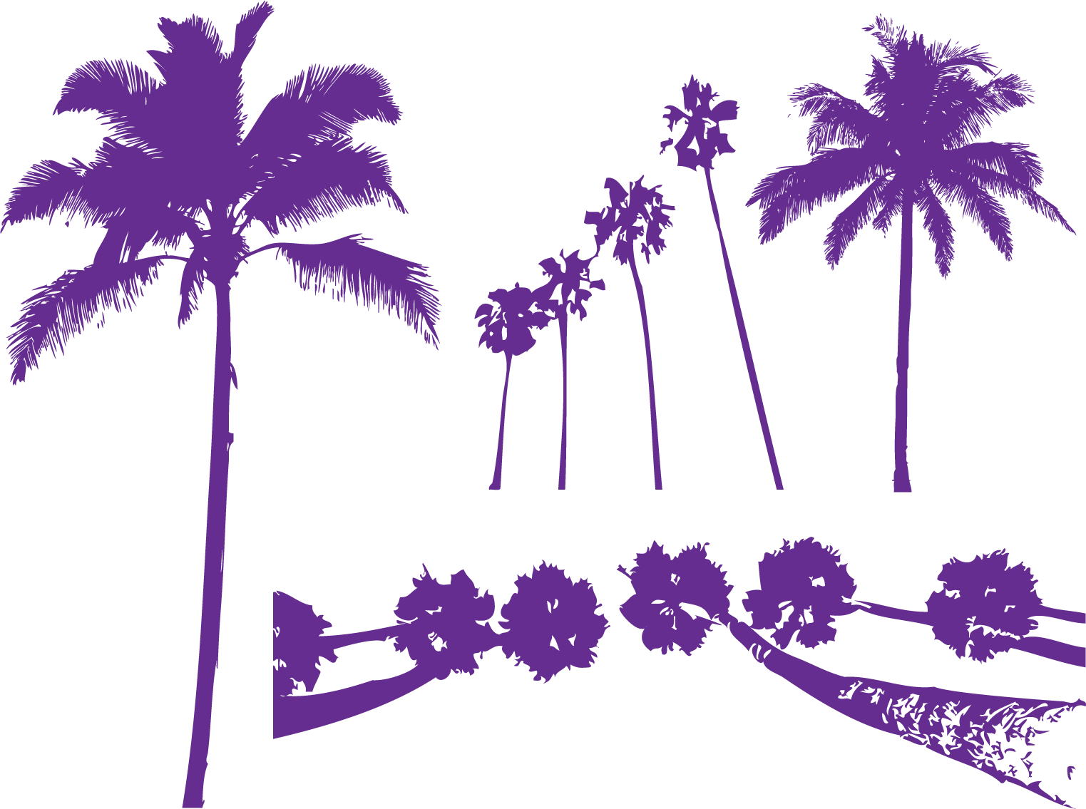 Areca Palm Tree Purple Arecaceae - Pool Party Waves Card (1523x1135)