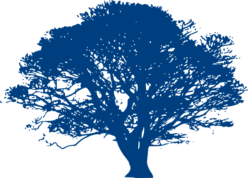 Simple Tree Silhouette 20, Buy Clip Art - Blue Oak Tree Clipart (960x691)
