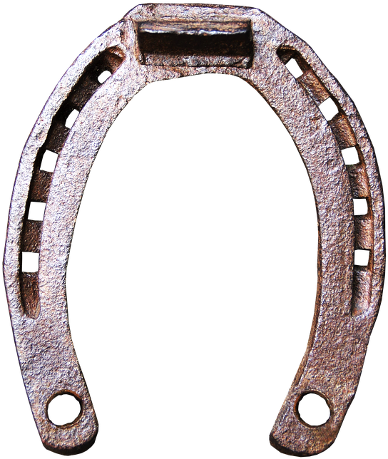 Particular Shoe, Causing Them To Stop One Minute And - Horseshoe Png (601x720)