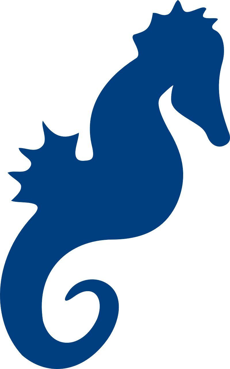 Seahorse Cliparts 11, - Seahorse Silhouette (800x1280)