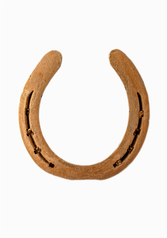 Horseshoe 75g - Earrings (700x800)