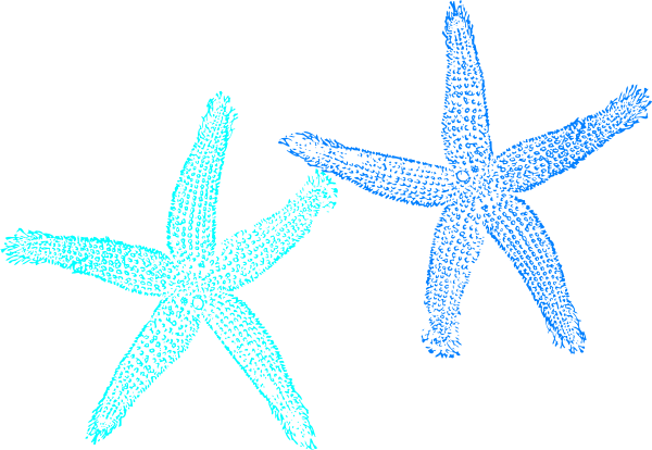 Vector And Starfish Coral Color Search For S 9256 Favorite - Transparent Background Starfish Png (600x414)