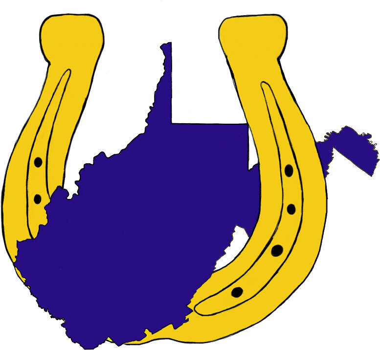 Golden Horseshoe - West Virginia State Senate Map (785x752)